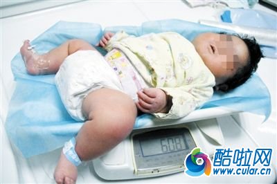 芜湖超级龙宝宝诞生