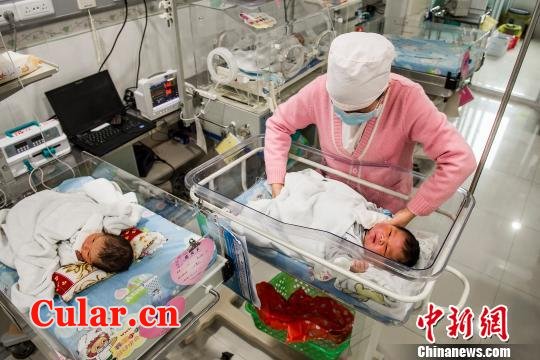 与一般新生儿相比，小胖看起来更像是数月大的婴儿。　龙宇阳　摄 data-cke-saved-src="http://www.cular.cn/uploads/allimg/140212/2211351X2-1.JPG" src="http://www.cular.cn/uploads/allimg/140212/2211351X2-1.JPG"