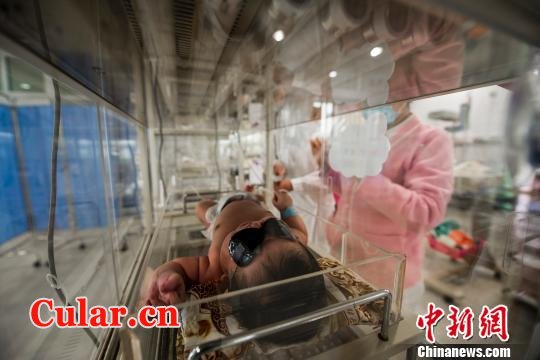 “小胖”正在保温箱接受监护治疗。　龙宇阳　摄 data-cke-saved-src="http://www.cular.cn/uploads/allimg/140212/2211355600-0.JPG" src="http://www.cular.cn/uploads/allimg/140212/2211355600-0.JPG"